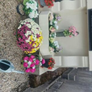 plusieurs bouquets dans un cimetiere